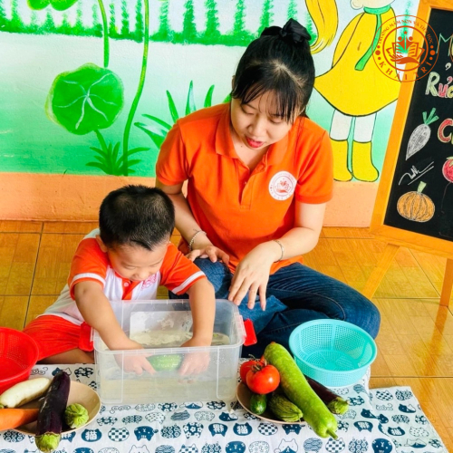 Montessori - Hoạt Động Dạy Trẻ Kỹ Năng Rửa Rau Củ