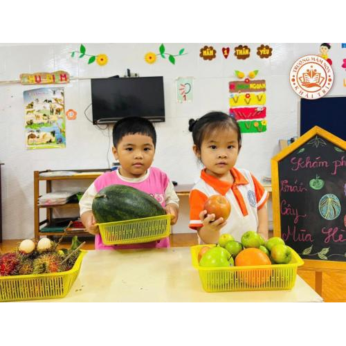 Khám phá đa dạng trái cây