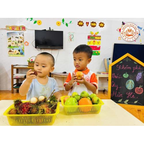 Khám phá đa dạng trái cây