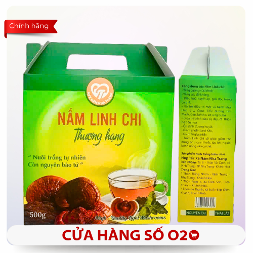 Nấm Linh Chi Thượng Hạng Hộp 500g